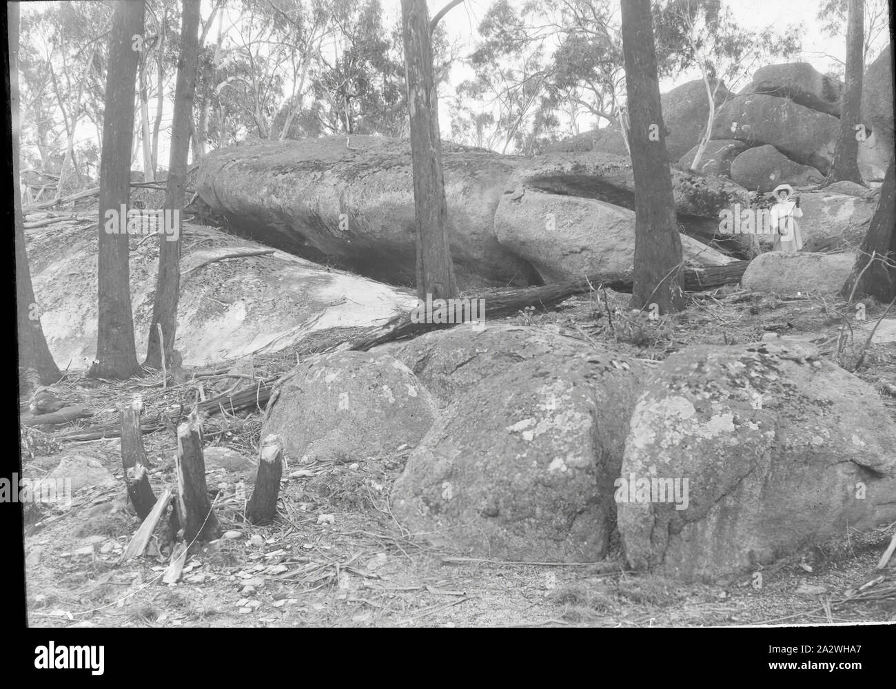 Lantern Slide - Massi, Victoria, circa 1900, immagine in bianco e nero di massi esposti in Victoria, fotografata da A.J. Campbell. Questo è uno dei molti lanterna in vetro le diapositive che formano la A.J. Campbell Collezione detenute da musei Victoria Foto Stock