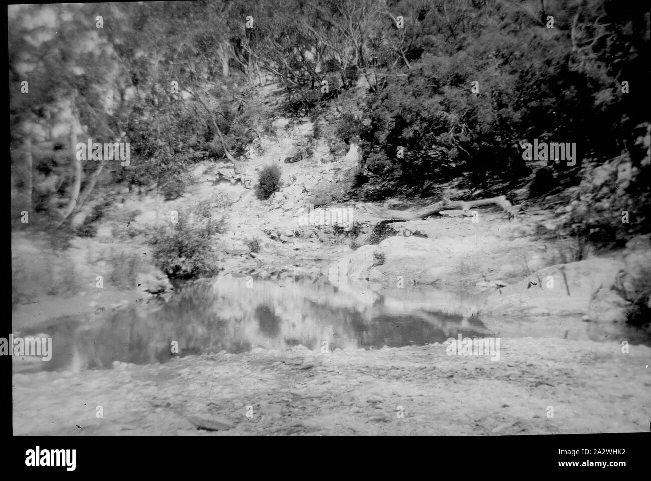 Lantern Slide - Djerriwarrh Creek, Victoria, data sconosciuta, immagine in bianco e nero del Djerriwarrh Creek in Victoria fotografata da A.G. Campbell, figlio di A.J. Campbell. Uno dei tanti formante la A.J. Campbell raccolta conservata dal Museo Victoria Foto Stock