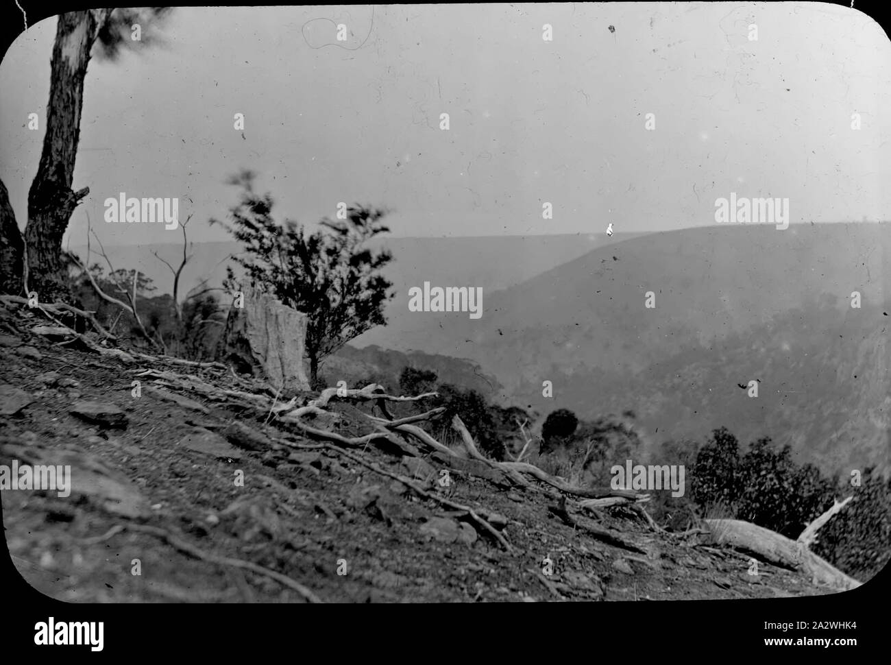 Lantern Slide - Djerriwarrh Creek, Victoria, data sconosciuta, immagine in bianco e nero della valle Djerriwarrh Creek fluisce attraverso, fotografata da A.G. Campbell, figlio di A.J. Campbell. Uno dei tanti formante la A.J. Campbell raccolta conservata dal Museo Victoria Foto Stock