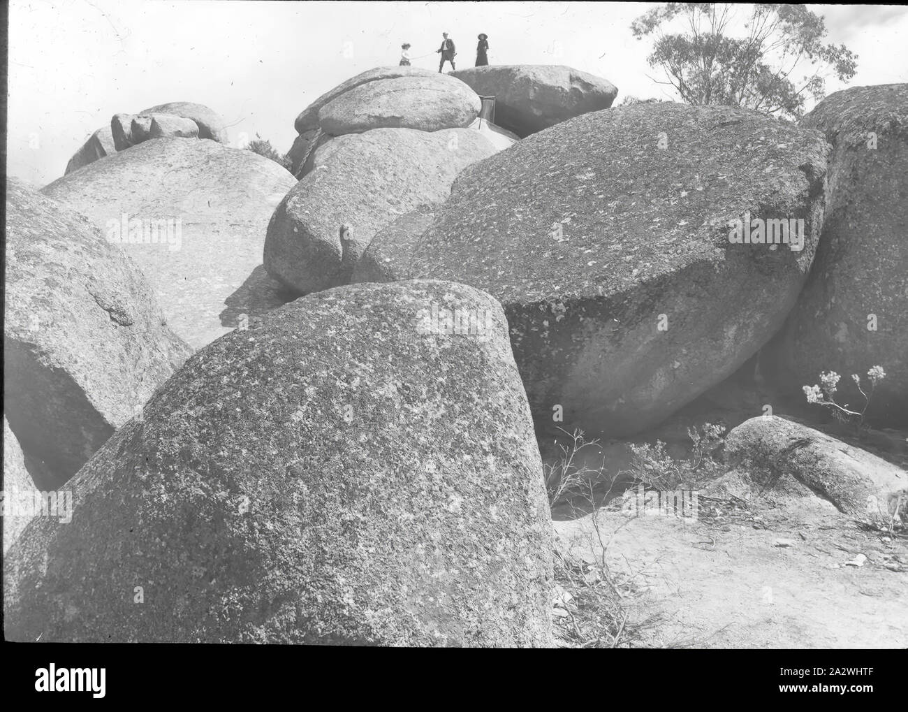 Lantern Slide - giganteschi massi, Victoria, Australia, data sconosciuta, immagine in bianco e nero dei giganteschi massi fotografata da A.J. Campbell. Questo è uno dei molti lanterna in vetro le diapositive che formano la A.J. Campbell Collezione detenute da musei Victoria Foto Stock