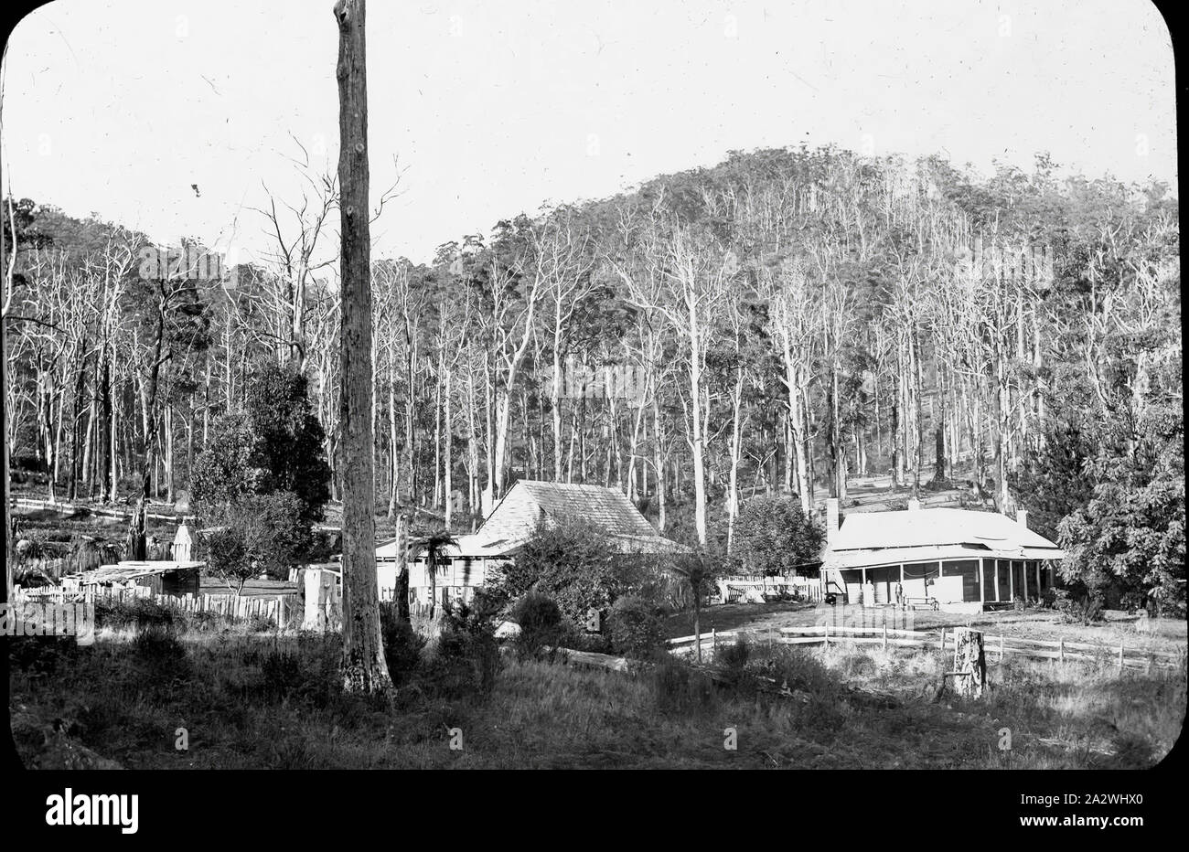 Lantern Slide - il nocciolo dell'Homestead, Australia, data sconosciuta, immagine in bianco e nero di un inizio di Australian homestead nella boccola Foto Stock