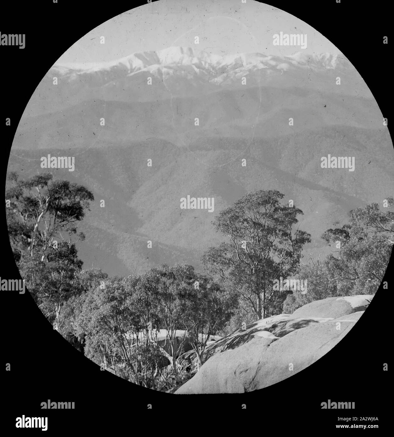 Lantern Slide - Mt Bogong, Victoria, data sconosciuta, immagine in bianco e nero di Mt Bogong come visto da Mt Buffalo, fotografata da A.J. Campbell. Questo è uno dei molti lanterna in vetro le diapositive che formano la A.J. Campbell Collezione detenute da musei Victoria Foto Stock