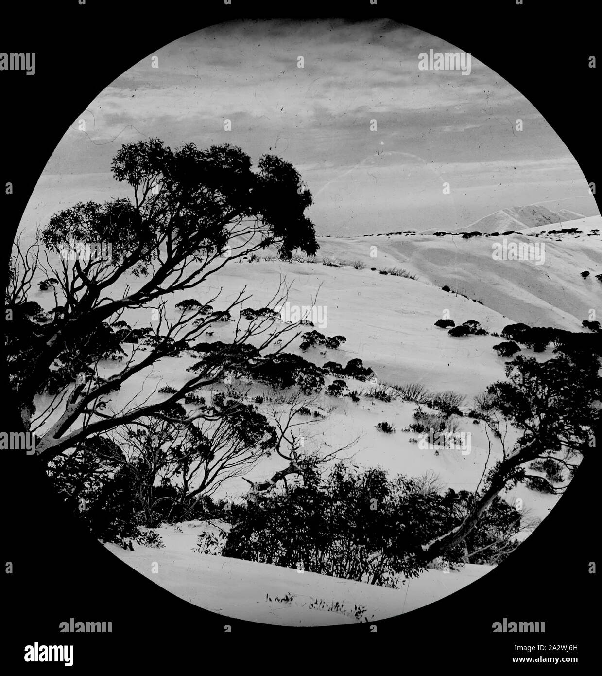 Lantern Slide - Mt Feathertop, Victoria, 1910, immagine in bianco e nero alla ricerca sulla coperta di neve alpi verso Mt Feathertop, fotografata da A.G. Campbell, figlio di A.J. Campbell. Questo è uno dei molti lanterna in vetro le diapositive che formano la A.J. Campbell Collezione detenute da musei Victoria Foto Stock