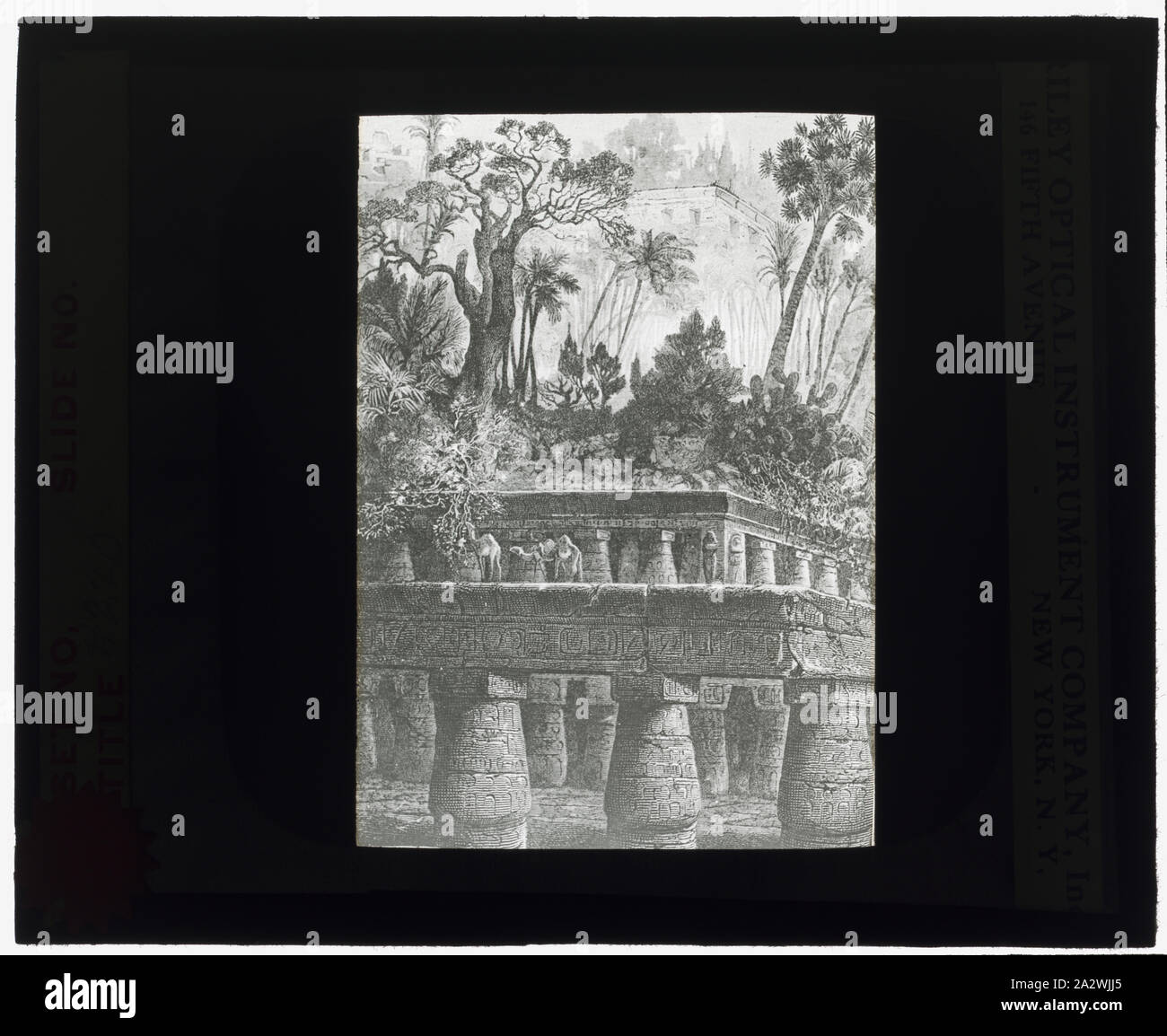 i giardini pensili di babilonia scuola primaria - 7 I giardini pensili di babilonia immagini e fotografie stock ad alta risoluzione - Alamy