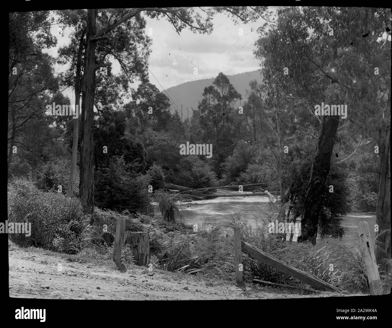 Lantern Slide - Parte superiore sul Fiume Yarra, Victoria, data sconosciuta, immagine in bianco e nero della tomaia sul Fiume Yarra fotografata da A.J. Campbell. Uno dei tanti formante la A.J. Campbell raccolta conservata dal Museo Victoria Foto Stock