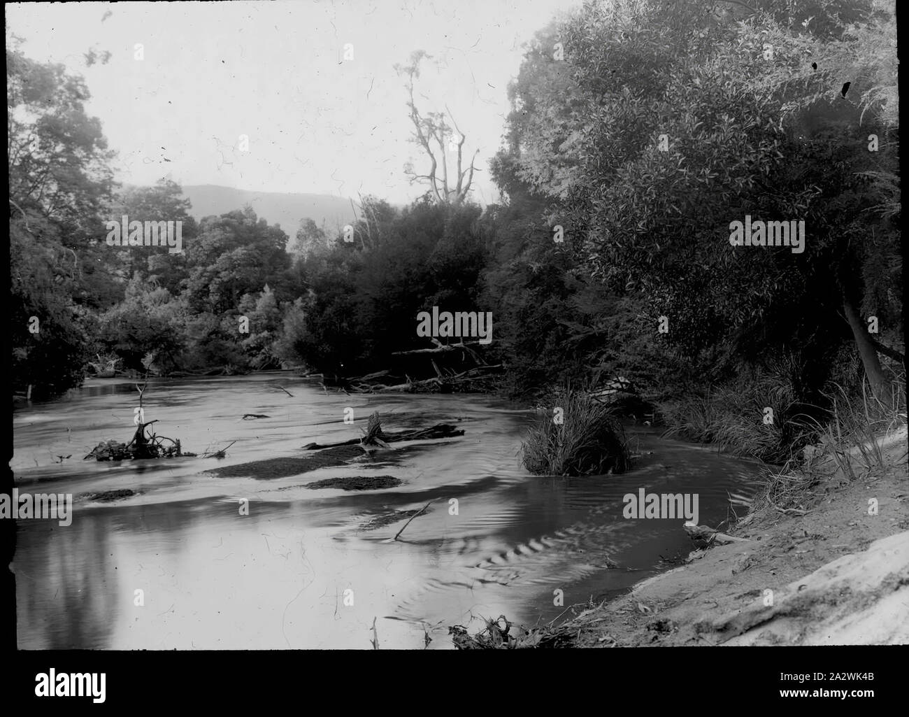 Lantern Slide - Parte superiore sul Fiume Yarra, Victoria, data sconosciuta, immagine in bianco e nero della tomaia sul Fiume Yarra in Victoria, fotografata da A.J. Campbell. Uno dei tanti formante la A.J. Campbell raccolta conservata dal Museo Victoria Foto Stock