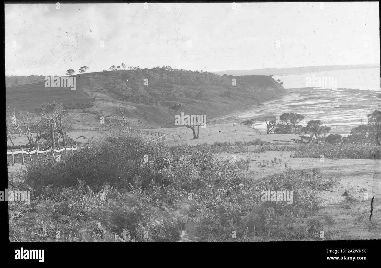 Lantern Slide - Waratah Bay, Victoria, data sconosciuta, immagine in bianco e nero di Waratah Bay nei pressi di Wilsons Promontory, fotografata da A.J. Campbell. Questo è uno dei molti lanterna in vetro le diapositive che formano la A.J. Campbell Collezione detenute da musei Victoria Foto Stock