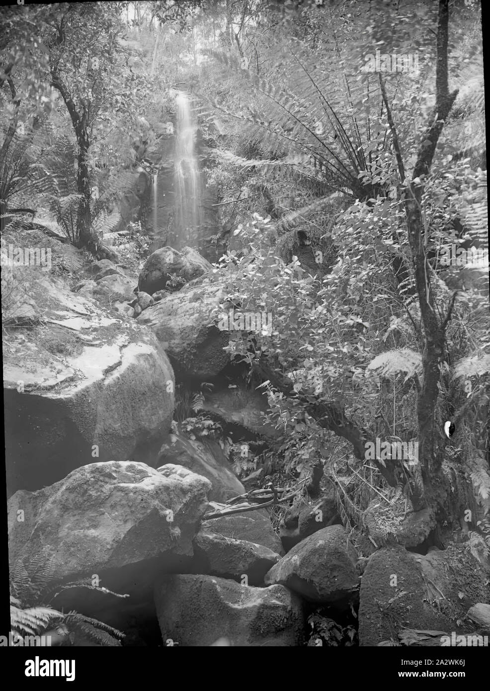 Lantern Slide - cascata, Victoria, data sconosciuta, immagine in bianco e nero di una cascata cascading su di una scogliera rocciosa volto fotografato in Victoria da A.J. Campbell. Questo è uno dei molti lanterna in vetro le diapositive che formano la A.J. Campbell Collezione detenute da musei Victoria Foto Stock