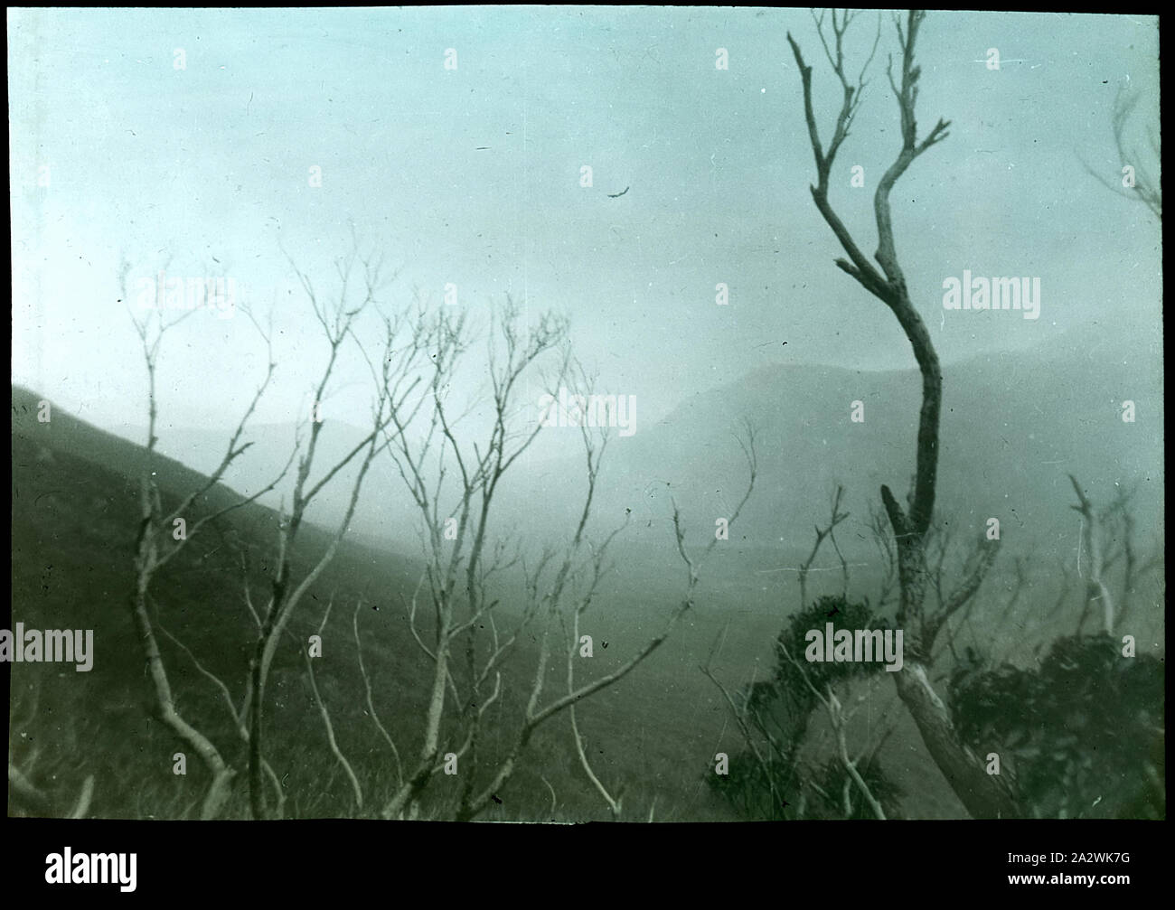 Lantern Slide - Wilsons Promontory, Victoria, 1937, un'immagine della nebbia a laminazione su Wilsons Promontory, fotografata da John Kipling Campbell, nipote di A.J. Campbell. Questo è uno dei molti lanterna in vetro le diapositive che formano la A.J. Campbell Collezione detenute da musei Victoria Foto Stock