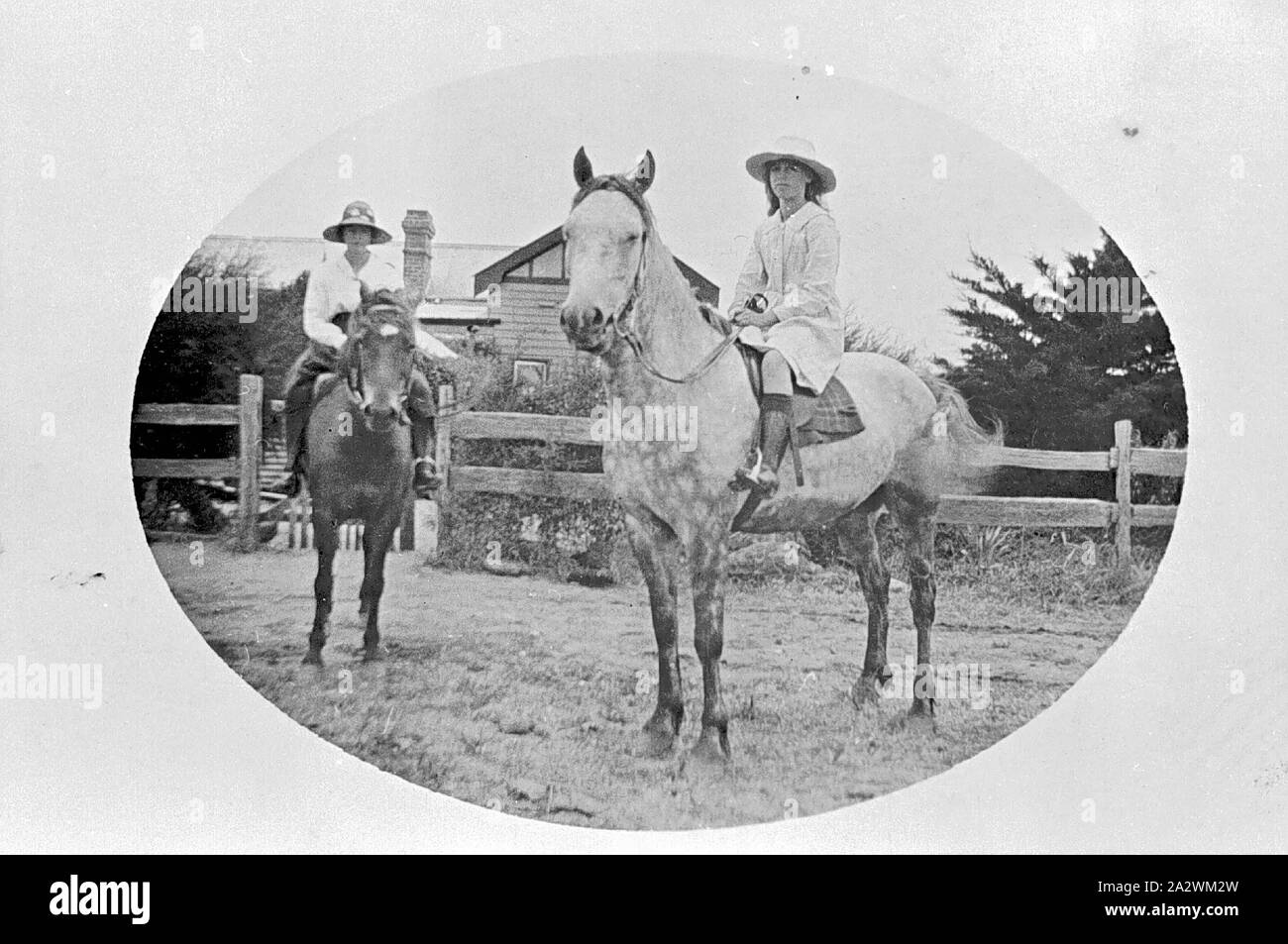 Negativo - Donna e bambina a cavallo, 'Glenview' Stazione, Tullamarine, Victoria, circa 1925, una donna e bambina, entrambi a cavallo, su 'Glenview' stazione. La donna indossa pantaloni e camicia con gli stivali e un cappello e la bambina indossa un abito con scarpe e un cappello. Dietro i cavalli è una staccionata in legno che circonda una casa. La casa sembra essere in legno in stile vittoriano, con windows e con un camino. Ci sono anche parecchi alberi dietro il recinto Foto Stock