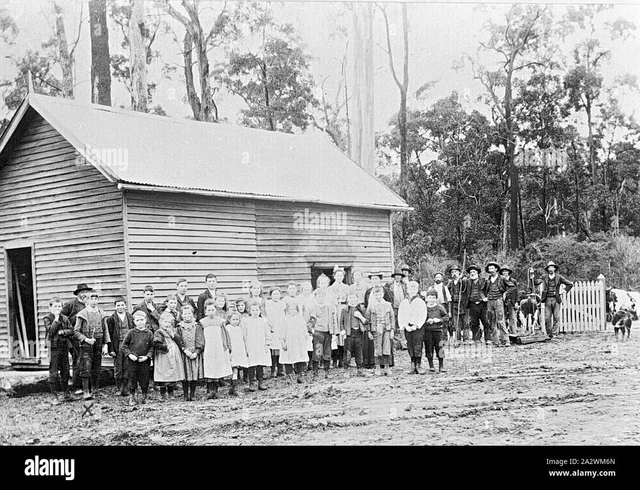 Negativo - gruppo al di fuori della scuola, Budgeree, Victoria, 1908, gli alunni e gli adulti al di fuori della scuola Budgeree. La scuola era stata spostata da un giovenco team. Vi è una recinzione di legno a destra Foto Stock