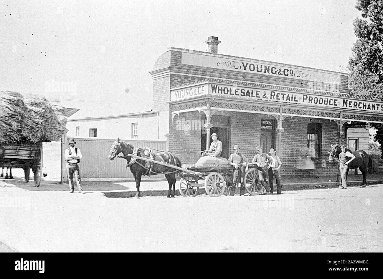 Negativo - Carri caricati al di fuori di giovani & Company, Ballarat East, Victoria, circa 1905, Carri caricati al di fuori di giovani & Company, commercio all'ingrosso e vendita al dettaglio di produrre i commercianti Foto Stock