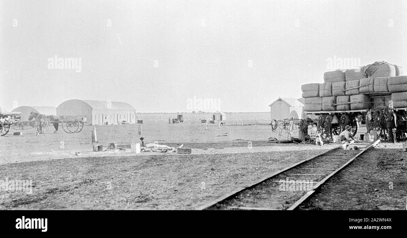Negativo - Binari & Cavallo & Carrello sul Paddock a "Portland Downs' Stazione, Isisford District, Queensland, circa 1915, binari di un cavallo e il carrello e il paddock su "Portland Downs' station Foto Stock