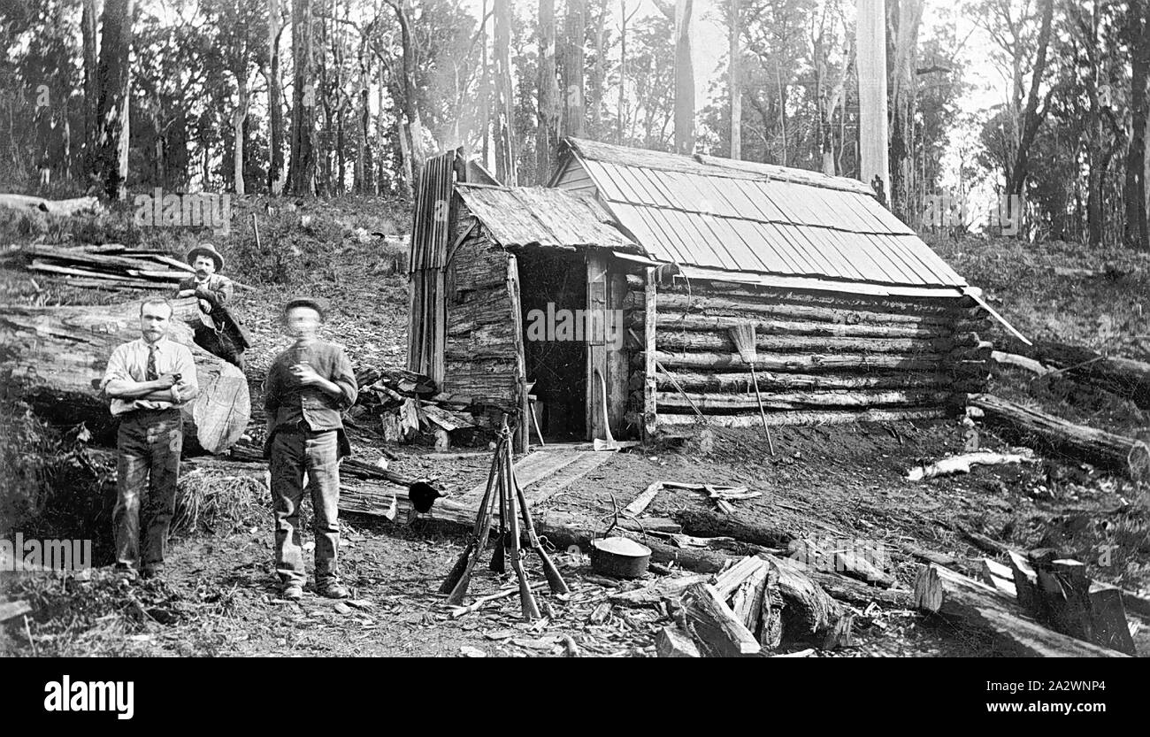 Negativo - Gippsland, Victoria, circa 1900, tre minatori nella parte anteriore di un Log Cabin. Cinque fucili sono impilati in primo piano Foto Stock