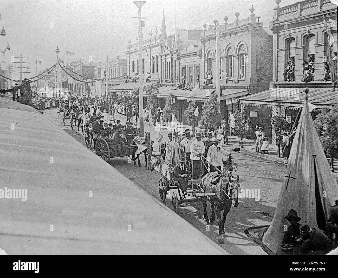 Negativo - Launceston, Tasmania, 1902, a cavallo il veicoli della regata di Launceston Parade Foto Stock