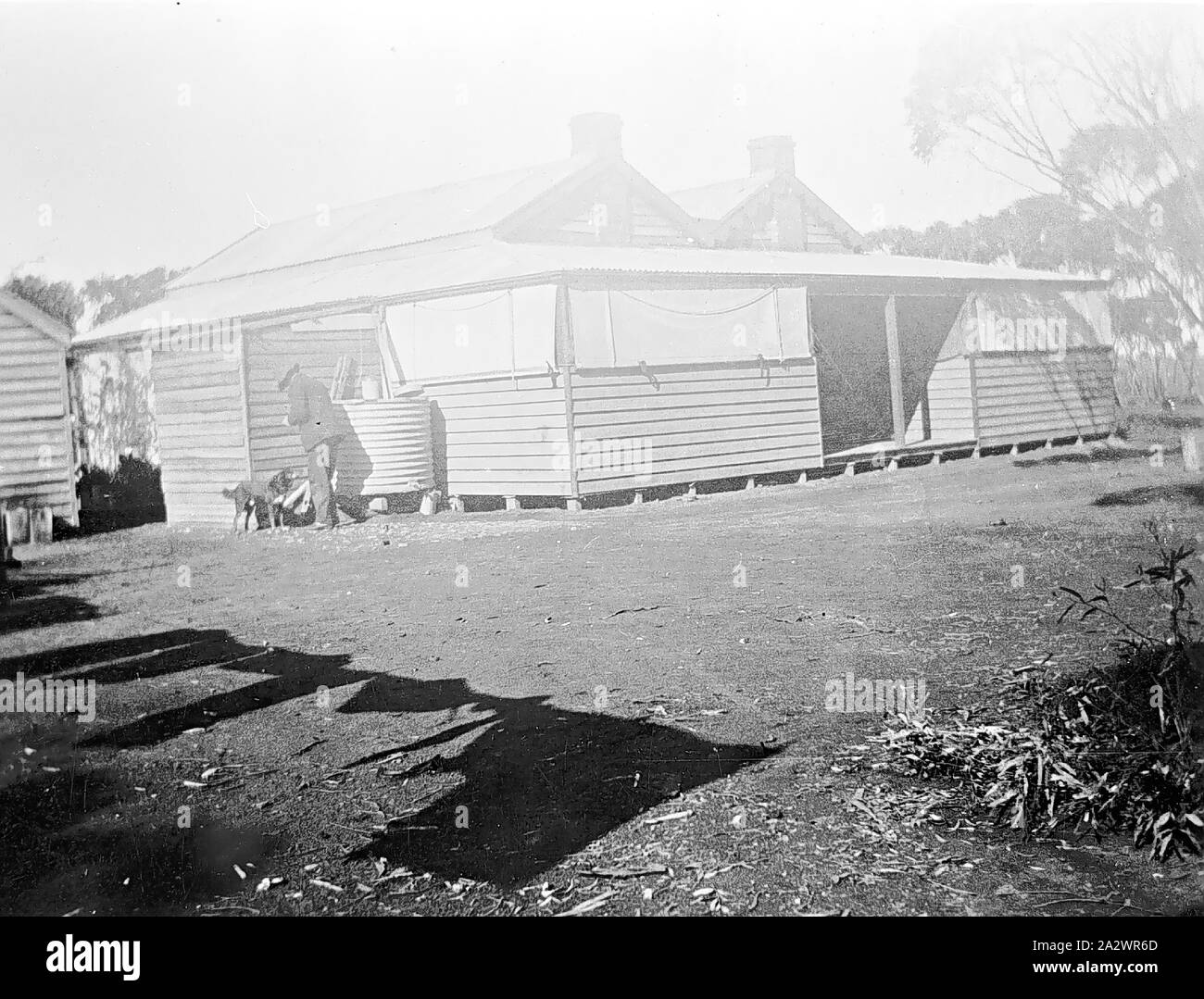 Negativo - Manangatang, Victoria, 1933, un agriturismo con tende shading della veranda. Un uomo e cani a fianco del serbatoio dell'acqua. Non vi è ombra di una linea di lavaggio in primo piano Foto Stock