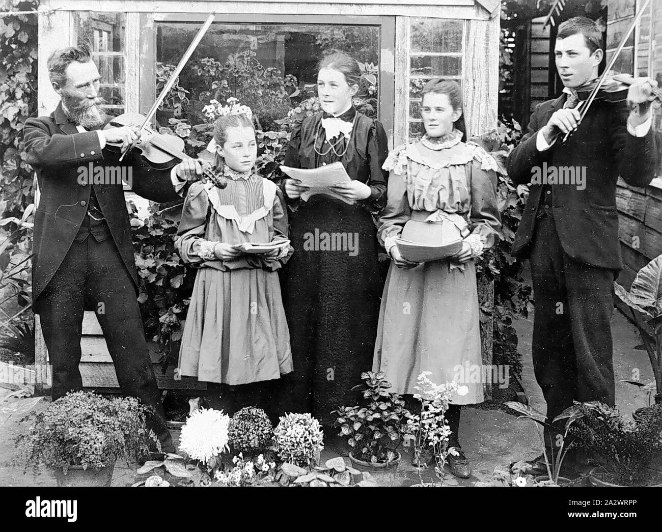 Negativo - Merino District (?), Victoria, pre 1910, una famiglia gruppo musicale in un giardino. I due uomini giocano violini mentre la donna e due ragazze giovani cantare. I cantanti sono i punteggi di contenimento Foto Stock
