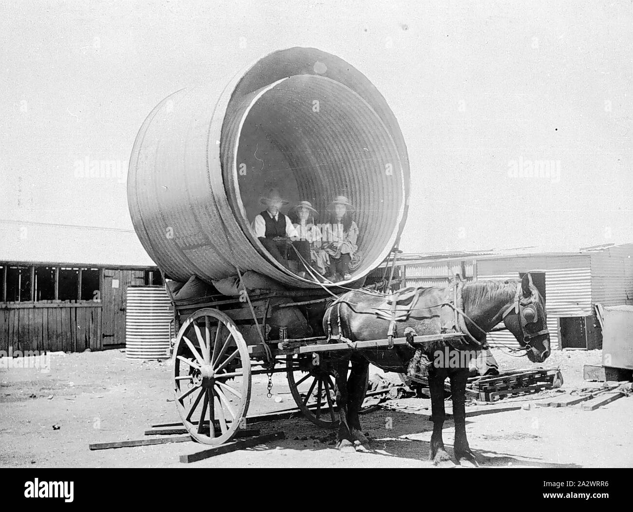 Negativo - Trafalgar, Kalgoorlie, Western Australia, 1907, due donne e un uomo seduto all'interno di due serbatoi di grandi dimensioni su un carro trainato da un cavallo. Questi serbatoi sono stati per essere utilizzato per miscelare la mucca feed presso il caseificio overland, Trafalgar. Questo è stato il primo caseificio nell'area di Kalgoorlie Foto Stock