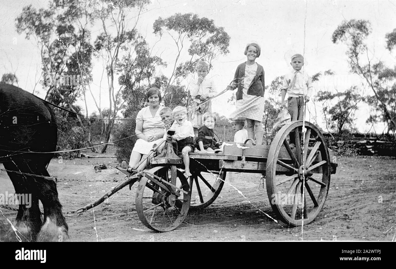 Negativo - Kurnwill, Victoria, circa 1930, una donna e cinque bambini su tre ruote di carro trainato da un cavallo. Essi sono su 'Hillcrest' agriturismo Foto Stock