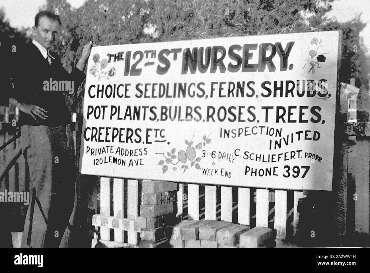 Negativo - Mildura, Victoria, 1936, un uomo in piedi accanto a un segno pubblicità la 12th Street vivaio Foto Stock