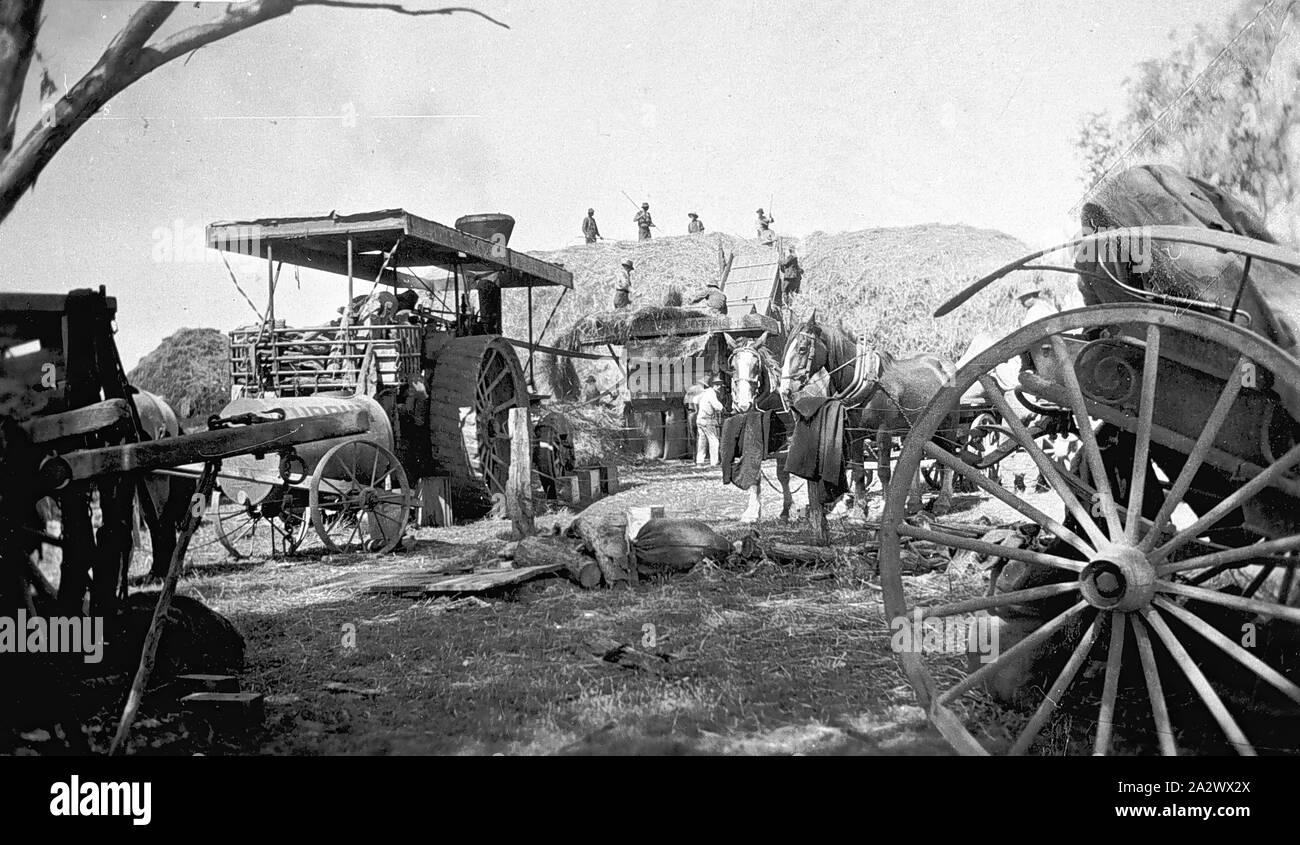 Negativo - Tarrawingee, Victoria, circa 1930, trebbiatura alimentato da un motore a vapore su 'Wyadra' farm. Ci sono quattro uomini sulla parte superiore di un pagliaio in background e un buggy sulla destra Foto Stock