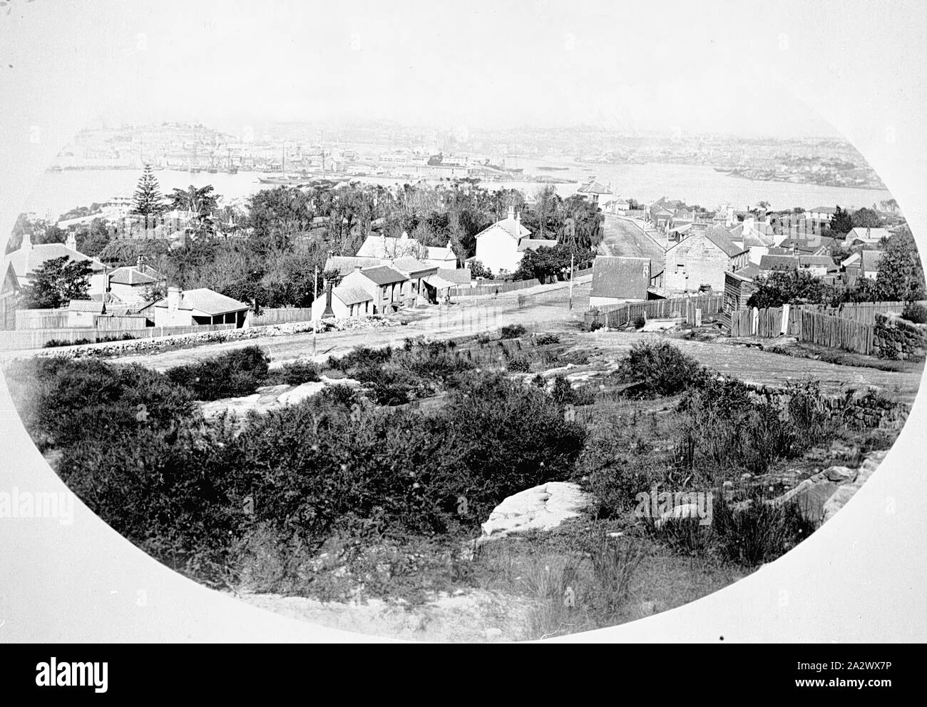 Negativo - St Leonards, Nuovo Galles del Sud, 1878, guardando dal North Shore attraverso il porto di Sydney per la città Foto Stock