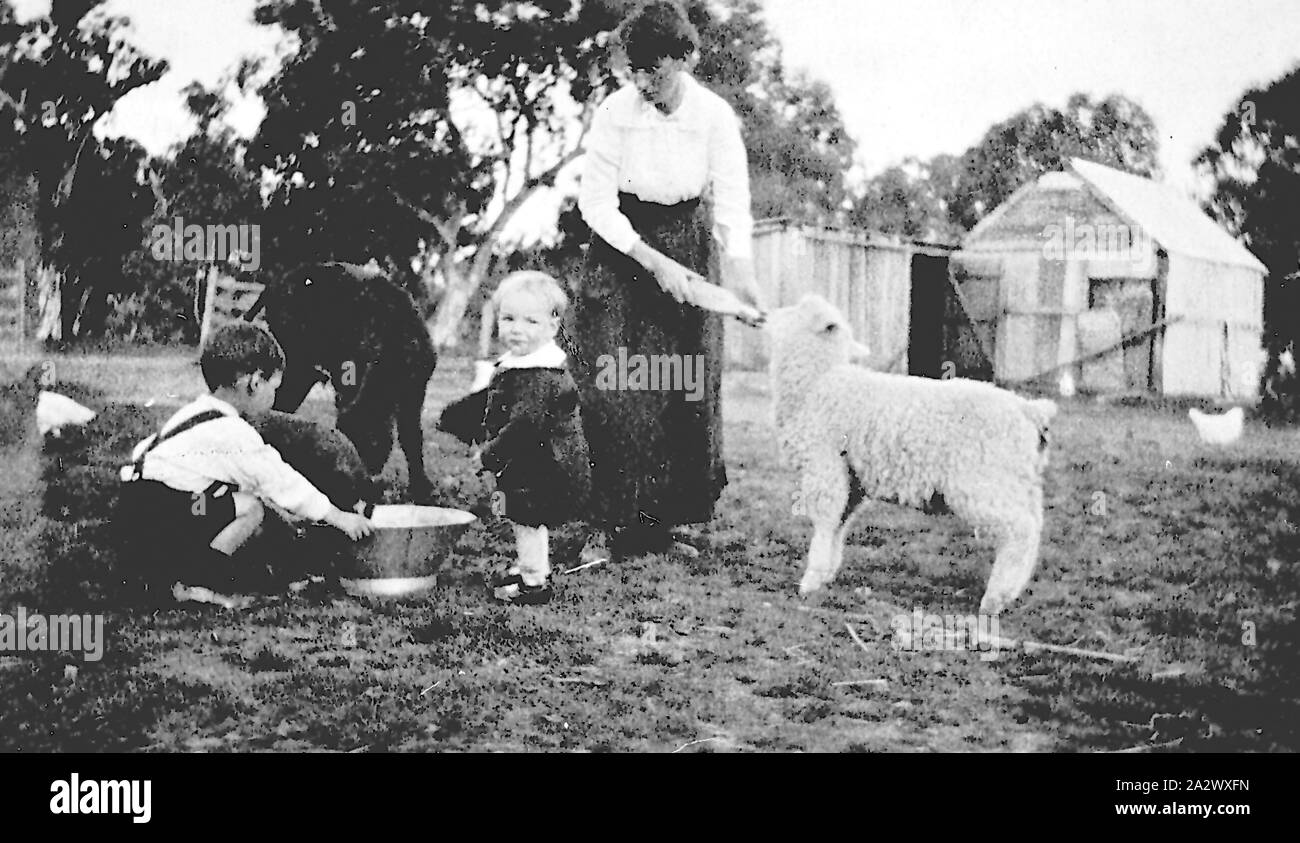 Negativo - Donna con bambini alimentazione di animali da allevamento, Gowangardie, Victoria, 1921, una donna e due bambini piccoli alimentazione di un agnello, un vitello e un cane Foto Stock