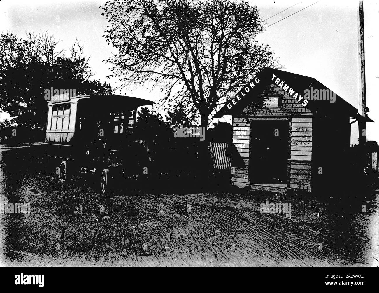 Negativo - Geelong, Victoria, circa 1920, un bus in corrispondenza di una linea tramviaria shelter. Il rifugio porta il segno "Geelong Tranvie Foto Stock