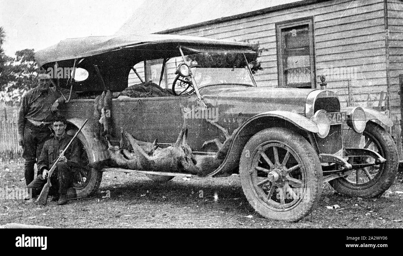 Negativo - Uomini & Car caricato con animali morti, Victoria, circa 1915, Due uomini con morti canguri e conigli legato al lato della loro vettura. Gli uomini sembrano essere in uniforme militare Foto Stock