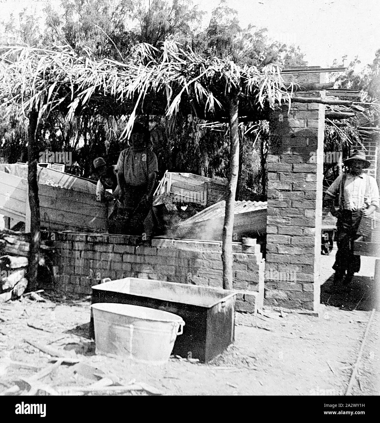 Negativo - Mildura, Victoria, circa 1905, un'uva dip. Vi è una struttura in mattoni con il tetto di paglia dietro le vasche di immersione Foto Stock