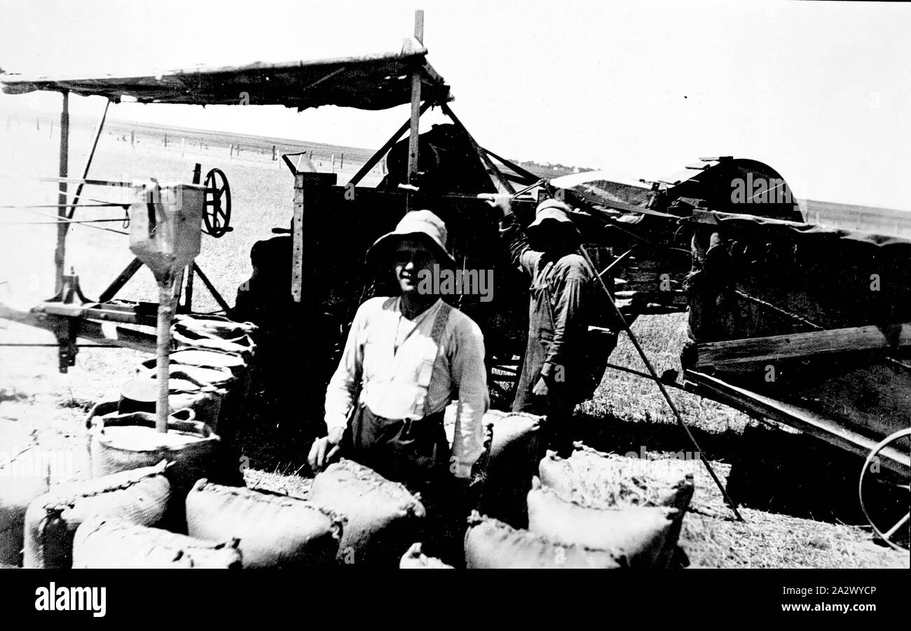 Negativo - riempimento di sacchi di grano, Dooen, Victoria, 1926, due uomini il riempimento di sacchi con del frumento. Vi è una testata di Taylor dietro di loro Foto Stock