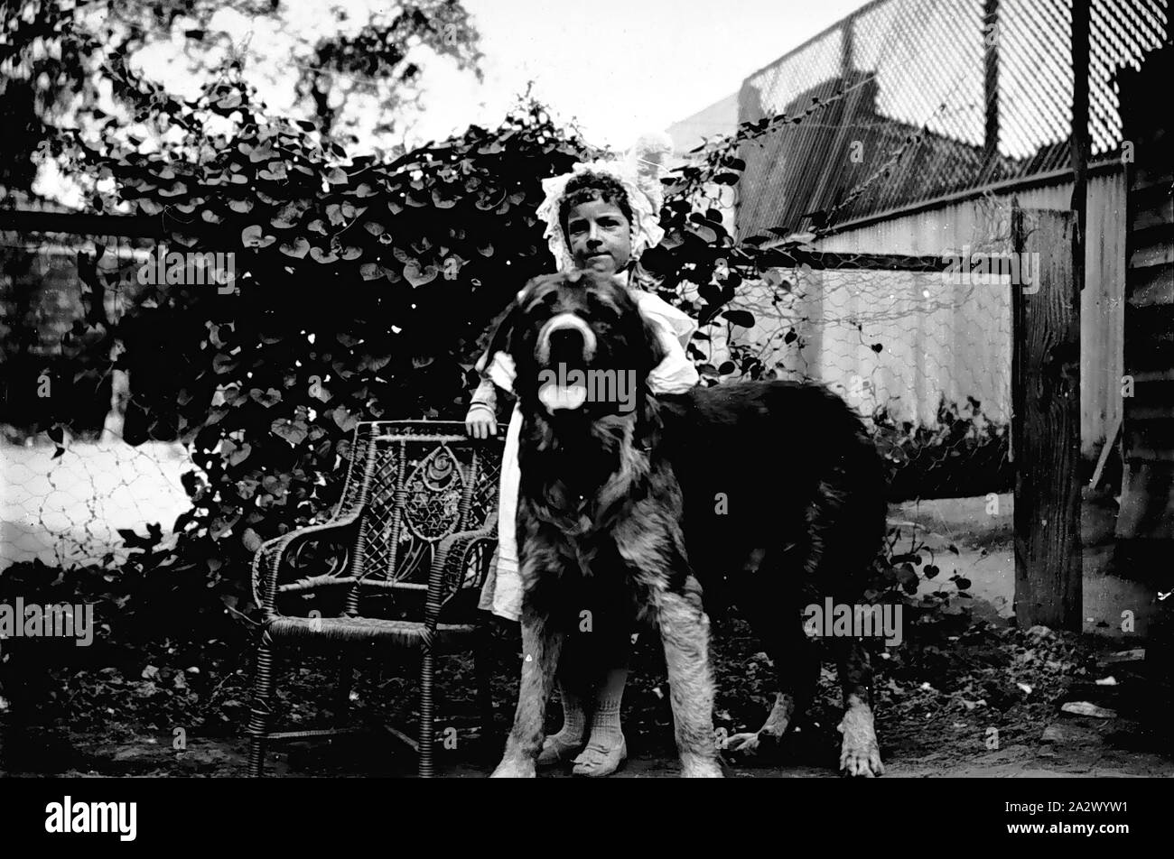 Negativo - Kathleen Beckett & cane "Barrie', Northcote, Victoria, Jan 1899, Kathleen Beckett con 'Barrie' Il Beckett cane di famiglia, nel cortile della residenza di famiglia a 180 High Street, Northcote, 29 gennaio 1899. Foto di Thomas Beckett. Parte di una raccolta di una lastra di vetro di negativi prese dal Dr George Thomas Beckett, medico radiologo pionieristica e fotografo dilettante tra 1891 e 1910. La raccolta è principalmente di Beckett la famiglia, gli amici, case Foto Stock