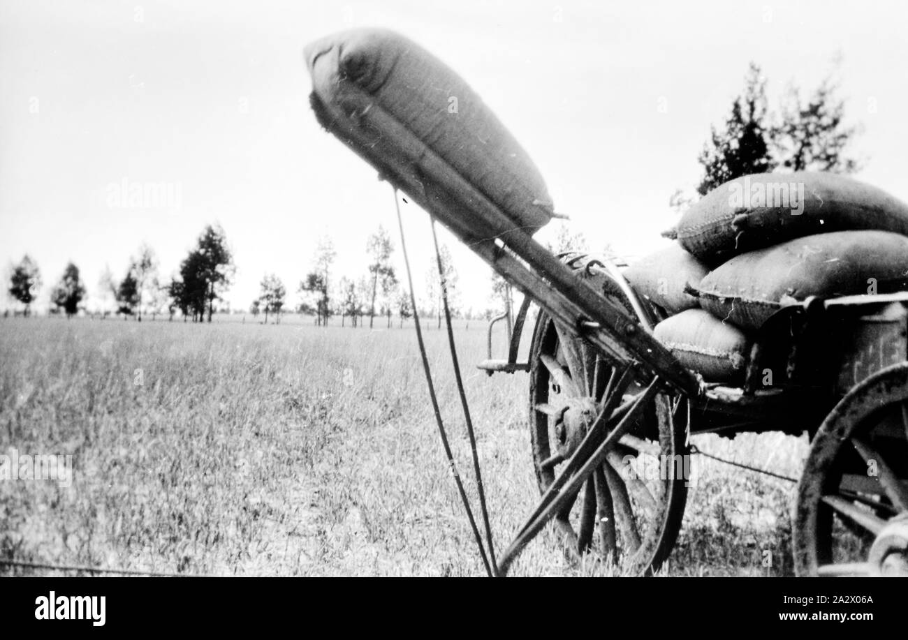 Negativo - Corobimilla, Nuovo Galles del Sud, 1925, un kicker per un carico di sacchi di grano. Un sacco pieno viene caricato pronto per andare Foto Stock