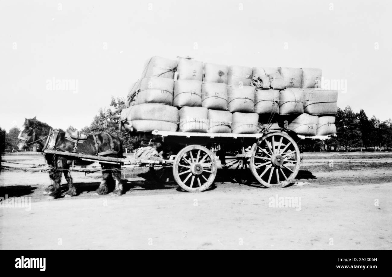 Negativo - Coleambally, Nuovo Galles del Sud, circa 1933, un carico di una quarantina di balle di lana che doveva essere preso da Albert John Mills e per i suoi figli Edward e Charlie, da 'Coleambally' stazione per la ferrovia a Morundah. Il carico è troppo pesante per la strada fangosa e il carrello sommersi. Il carro è stato un carro Bennett Foto Stock