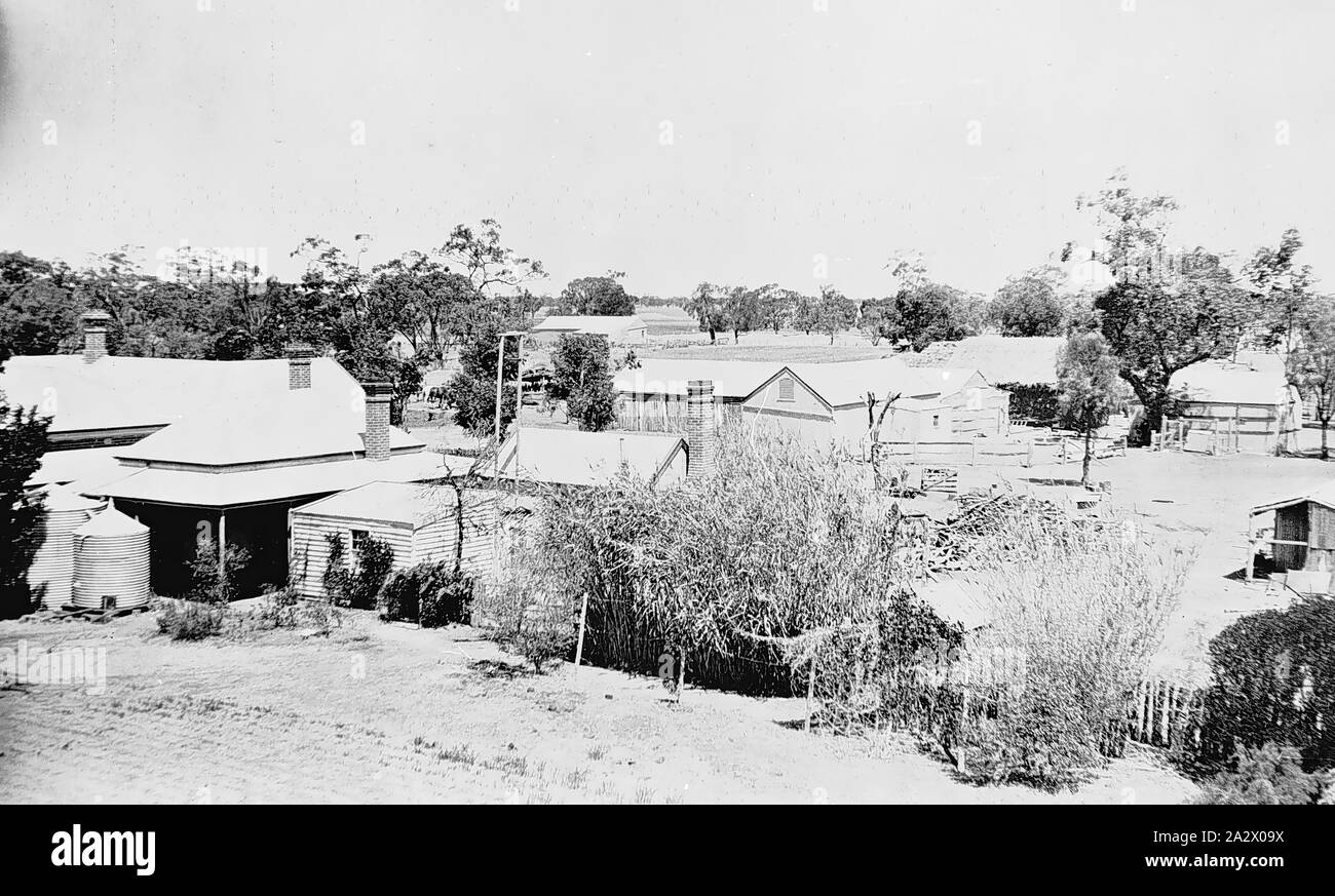 Negativo - Nhill District, Victoria, 1919, edifici agricoli su 'Boxdale' farm. L' edificio in primo piano, accanto a serbatoi di acqua, era l'originale homestead costruita nel 1876. Successivamente è stato utilizzato come la cucina-cameriere' quarti quando la nuova casa è stata costruita nel 1901 Foto Stock