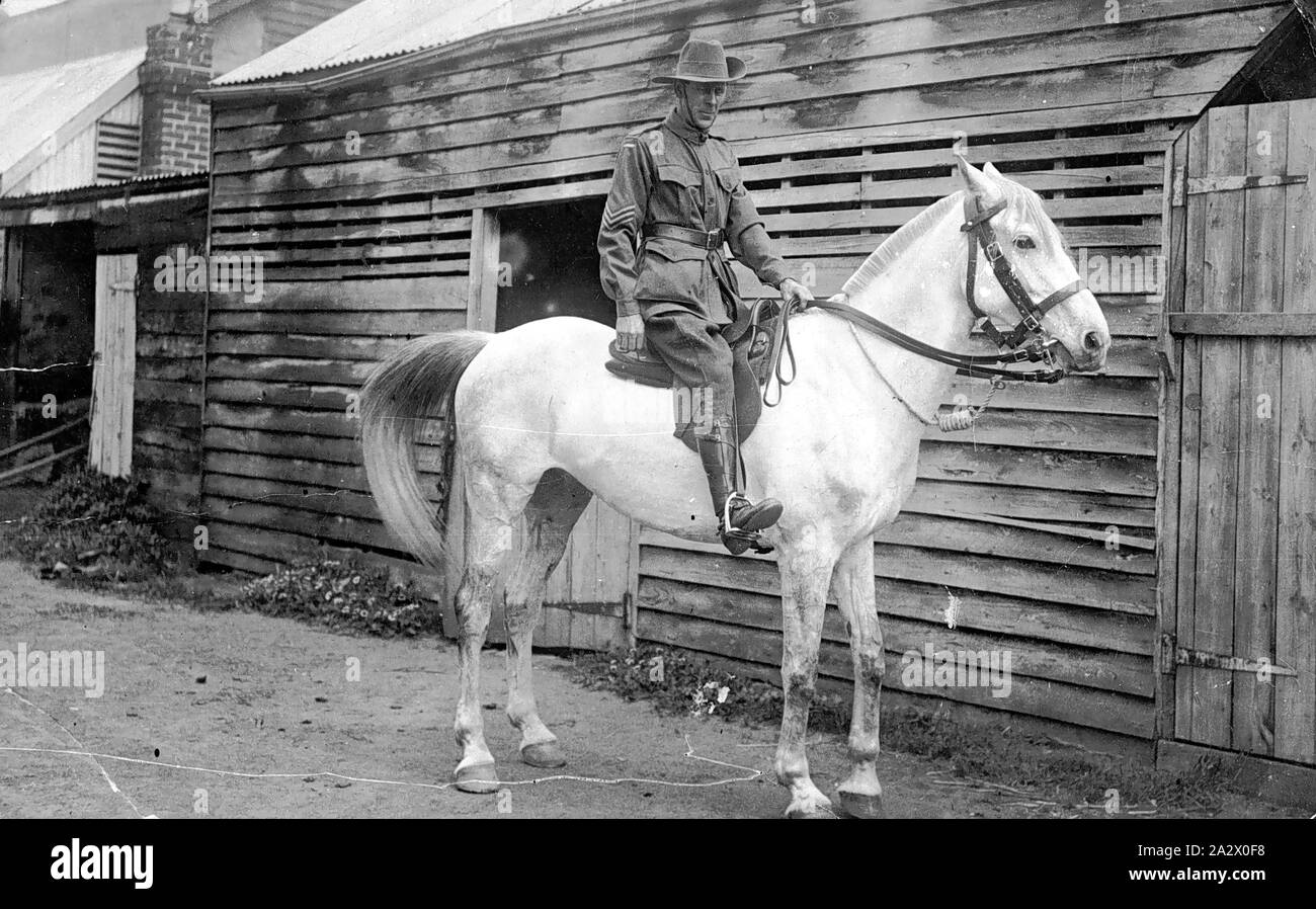 Negativo - Hamilton District, Victoria, pre 1915, un soldato a cavallo, credeva di essere preso quando era in congedo finale prima di partire per la guerra mondiale I Foto Stock