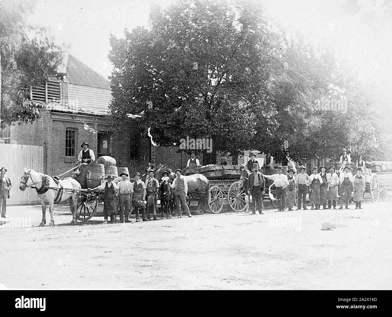 Negativo - Bendigo, Victoria, 1890, i lavoratori e i carri al di fuori della fabbrica di birra di Kent Foto Stock