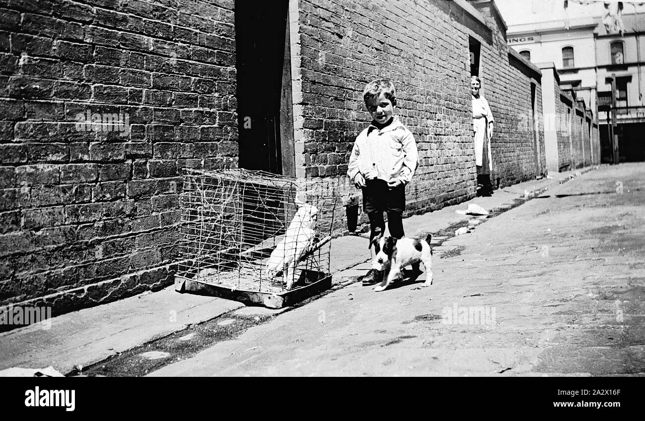 Negativo - West Melbourne, Victoria, 1935, un piccolo ragazzo con un cacatua (chiamato George Brown) in una gabbia e un cane (Nicky). Una donna Orologi da una porta più in basso la corsia Foto Stock