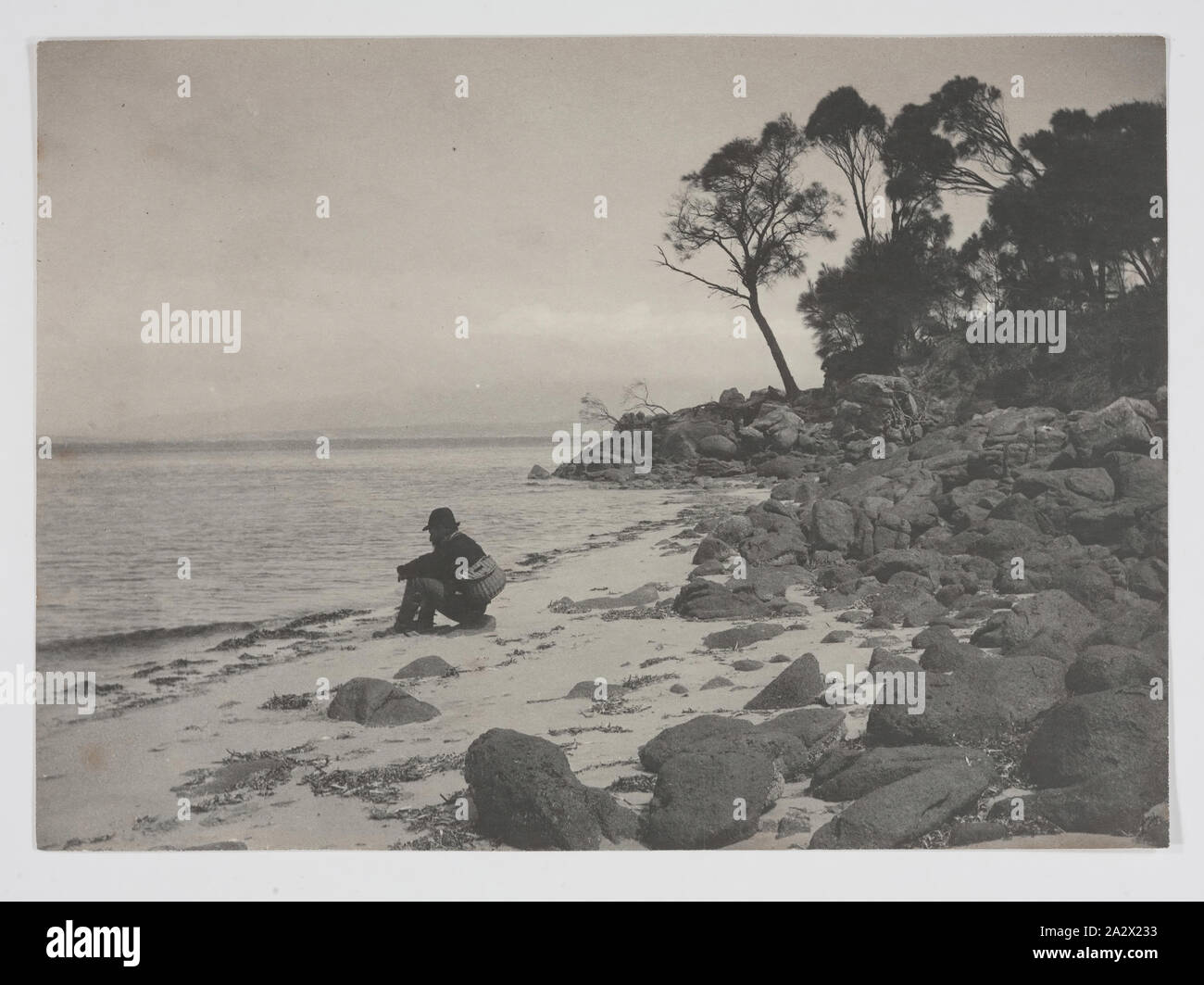 Fotografia - 'Non ci è posto come la casa', Flinders Island, 1893, uno dei sessantanove in bianco e nero e seppia tonica fotografie in un album legato [di cui sei sono allentati] prese da A. J. Campbell ornitologo e fotografo durante un campo naturalisti' Club di Victoria spedizione scientifica al Furneaux gruppo di isole, Bass Strait, nel novembre1893.L'album include anche una mappa del Kent nel gruppo di isole del coperchio anteriore interno e numerosi contemporary Foto Stock