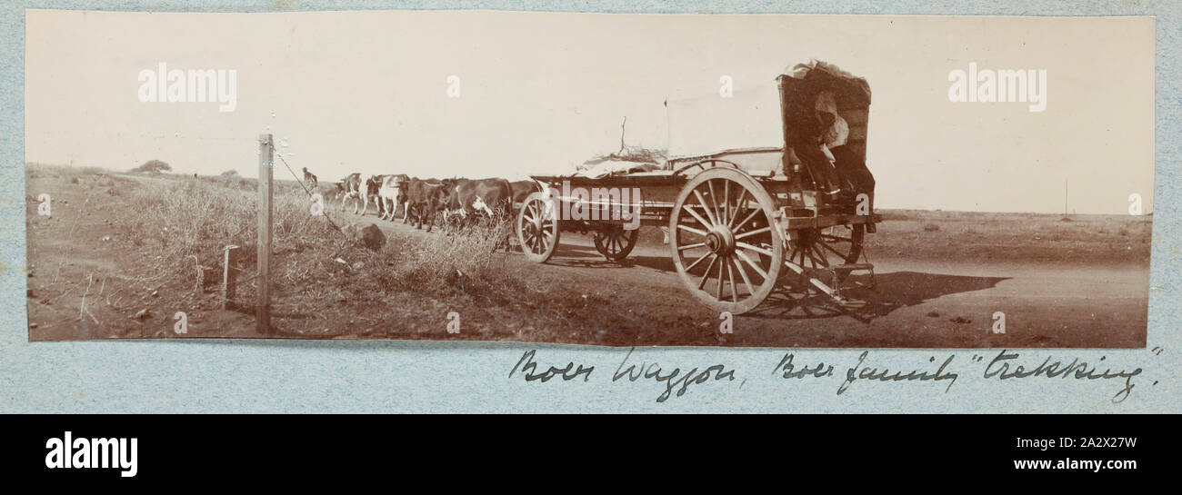 Fotografia - 'Boer carro', Sud Africa, 1902, uno di 74 fotografie in bianco e nero contenute entro un hard-coperto album fotografico. Inscritto sul lato anteriore della pagina dell'album 'M.G.A. Warner'. Appartenne alla sorella Mabel Ashton Warner, che hanno servito in Regina Alexandra la Royal servizio infermieristico. Le fotografie sono incollate in album e sono generalmente molto sbiadito. Alcuni vengono visualizzati commercialmente prodotte; altri sono irregolari e non professionnale Foto Stock