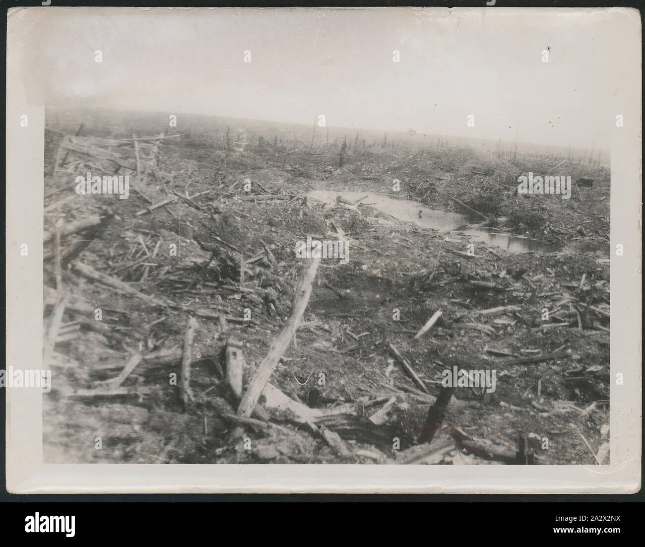 Fotografia - "effetti di Shellfire', Gueudecourt, Francia, della I Guerra Mondiale, maggio 1917, fotografia etichettato " effetti di Shellfire'. La foto è iscritto con il numero E510 e datato 1916-1917. L'Australian War Memorial detiene la stessa fotografia (numero E00510), che identifica come prese Maggio 1917 in Gueudecourt, in Picardie (Piccardia) regione, dipartimento della Somme, della Francia, nelle vicinanze di Albert-Bapaume. L'Australian War Memorial spiega: "immediatamente di fronte Foto Stock
