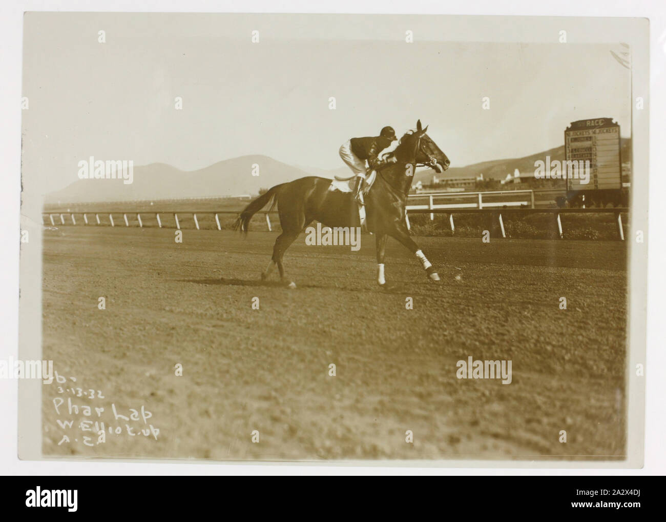 Fotografia - Phar Lap & Jockey Bill Elliot, Agua Caliente,13 Mar 1932, piccola fotografia in bianco e nero di jockey Bill Elliot e Phar Lap nei propri lavori a Agua Caliente Racecourse, il Messico, il 13 marzo 1932. Dal 1931, Phar Lap aveva vinto praticamente ogni grande gara australiana, molti di loro due volte. L'idea di prendere Phar Lap per gli Stati Uniti, che ha offerto un ricco circuito racing, era stato discusso tra racing persone per qualche tempo. L'Agua Caliente Handicap, tenutasi a Foto Stock