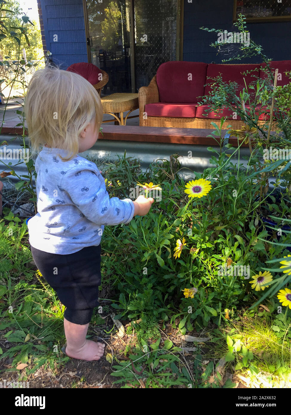 ! Anno di età bambino ragazza in piedi ed esaminando i fiori. Foto Stock