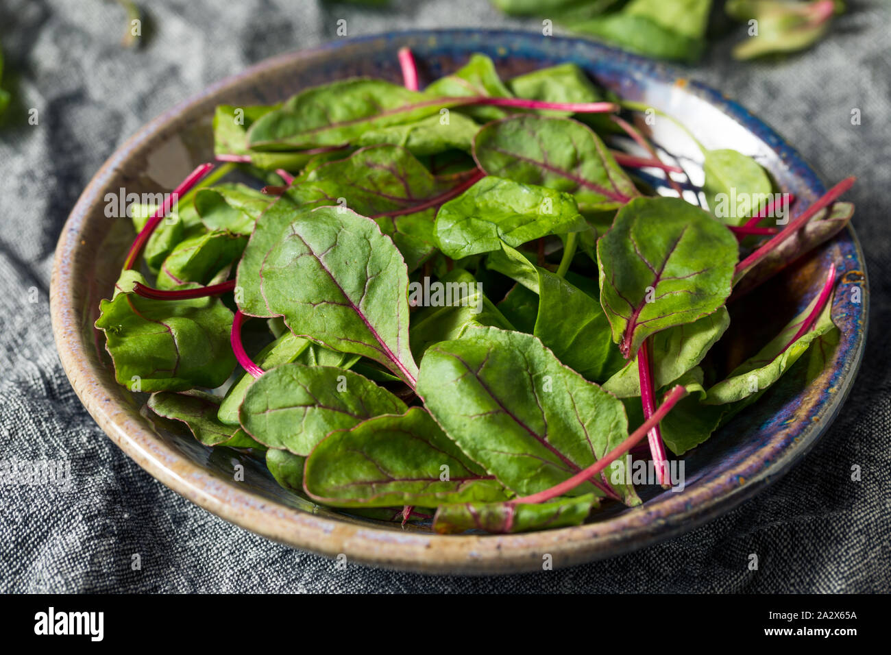 Materie organiche verde Baby Bietole pronto a mangiare Foto Stock