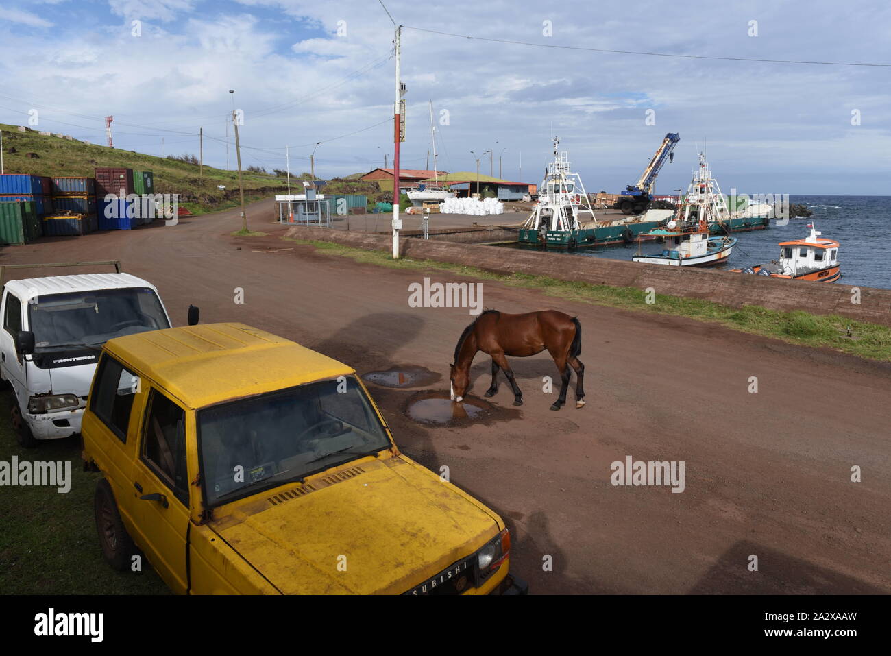 Isola di Pasqua, Cile. Il 22 settembre, 2019. Un cavallo è visto acqua potabile presso il piccolo villaggio di Hanga Roa.La popolazione di cavalli selvaggi sull'Isola di Pasqua, nota anche come Rapa Nui, un cileno isola nel sud-est dell'Oceano Pacifico, è di circa 6.000 esemplari. Esso anche outnumbers abitanti nativi. Essi vagano liberi intorno all'isola. Credito: John Milner/SOPA Immagini/ZUMA filo/Alamy Live News Foto Stock