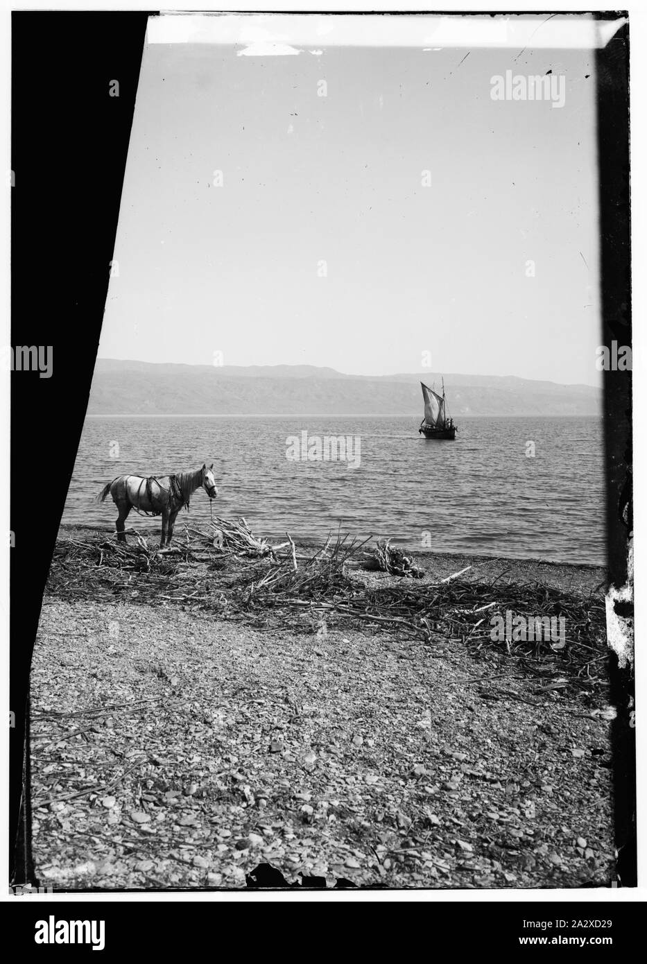 Strada di Gerico, Giordania, ecc. Mar Morto, che mostra la sponda orientale Foto Stock