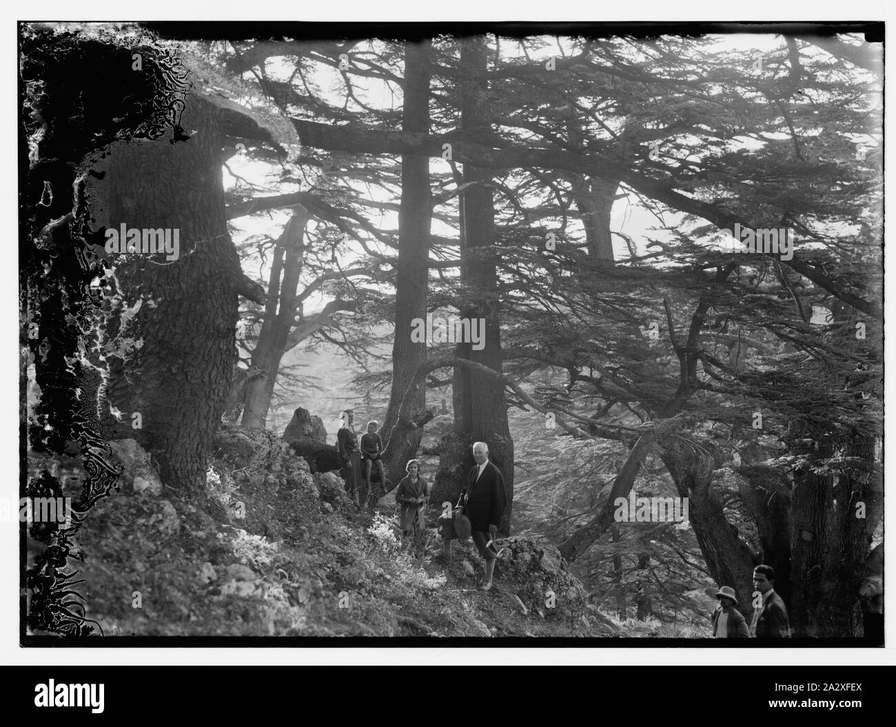 La famiglia Robinson Foto Stock