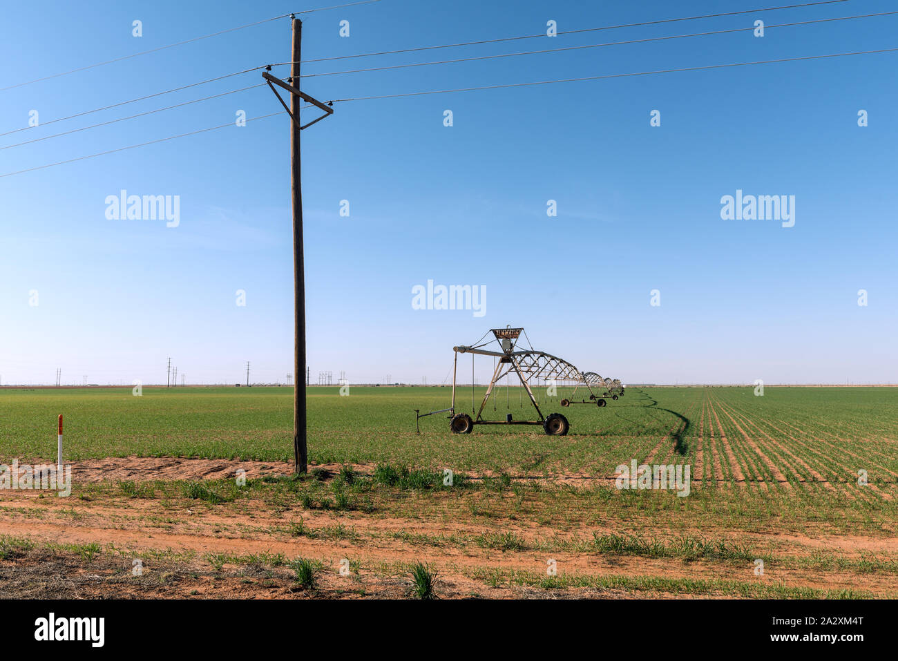 Irrigazione di rotolamento in sprinkler Gaines County, Texas, l'arachide-e-coltura di cotone paese tra Hobbs, Nuovo Messico, e Seminole, Texas Foto Stock