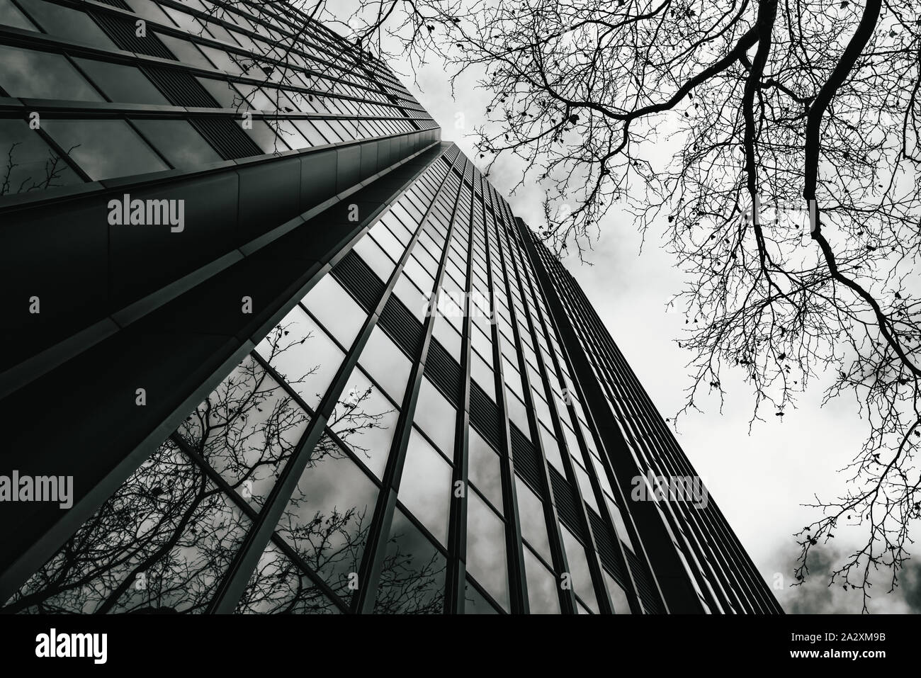 Superficie di vetro di grattacieli in vista nel distretto di centri di business. in bianco e nero Foto Stock
