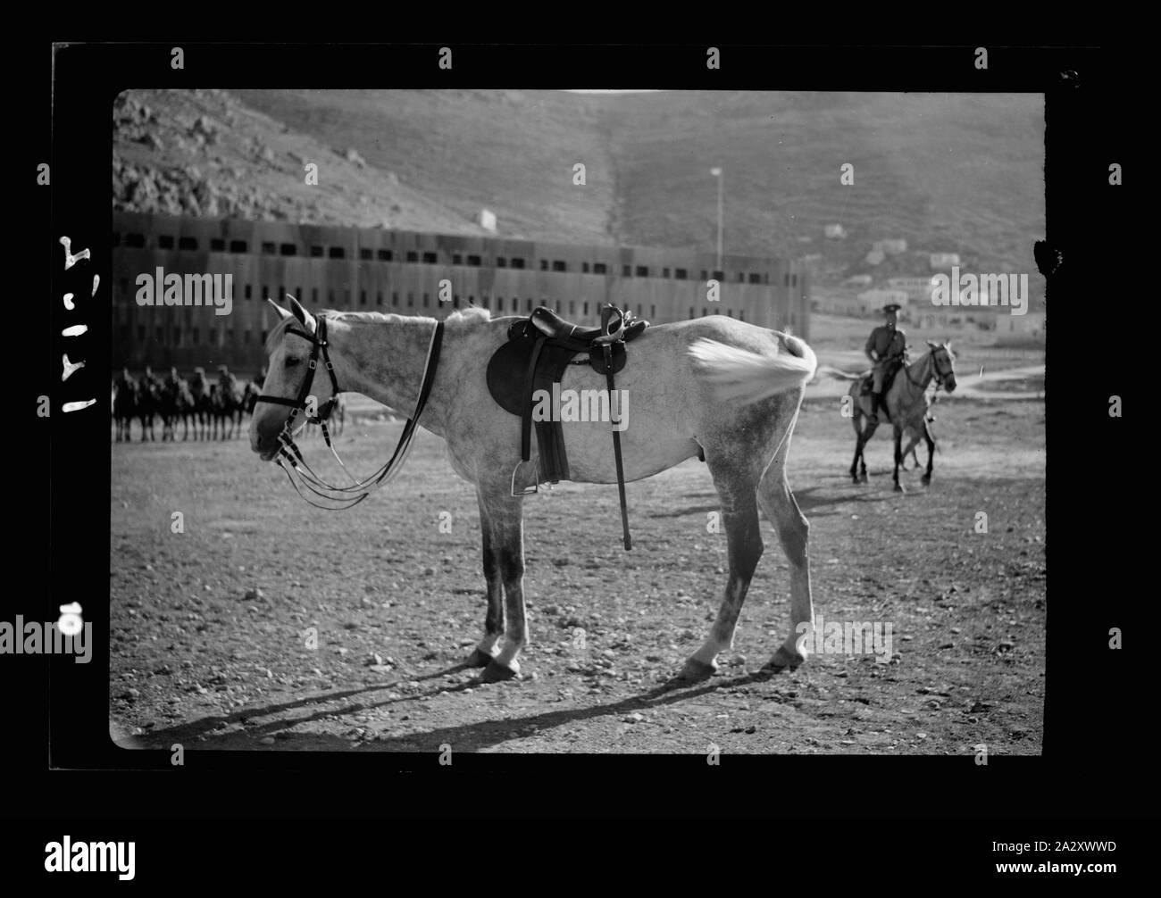 Royal Scots Grays, gruppi di cavalleria a Nablus. Un solitario a cavallo e cavaliere n. Foto Stock